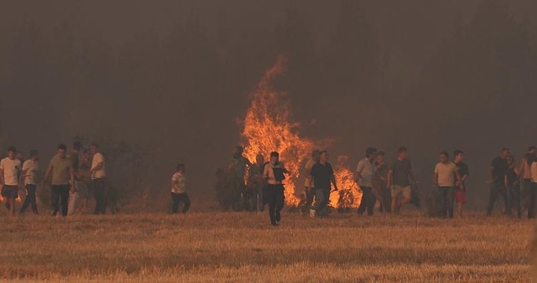 Ege’de yangın kabusu! Bakan Yumaklı yangınların kontrol altına alındığını duyurdu