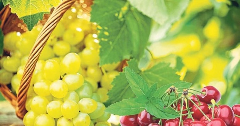 Manisa’nın ihracat oranı yükselerek yüzleri güldürdü