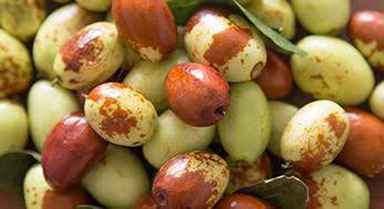 Ölümsüzlük meyvesini yemeyen bin pişman! Adeta şifa dağıtıyor...