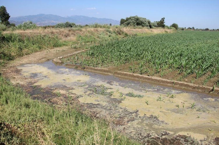 Büyük Menderes Nehri’ndeki su seviyesi sevindirdi