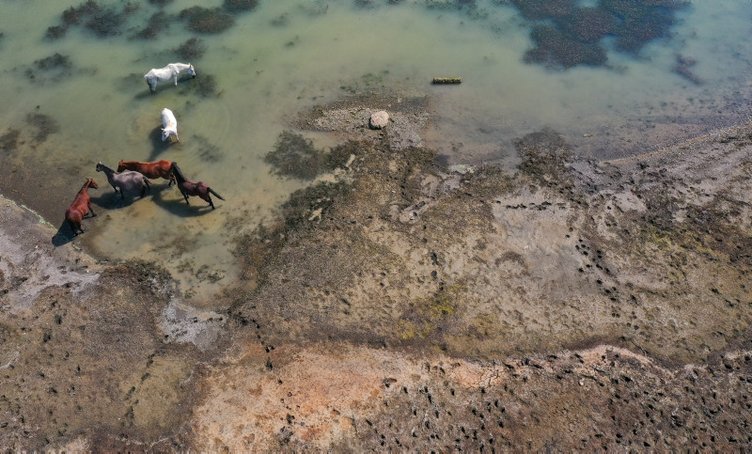 İzmir’deki Tahtalı Barajı’nda doluluk oranı alarm veriyor!