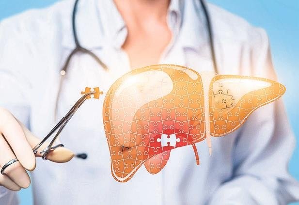 Mevsiminde 40 enginar