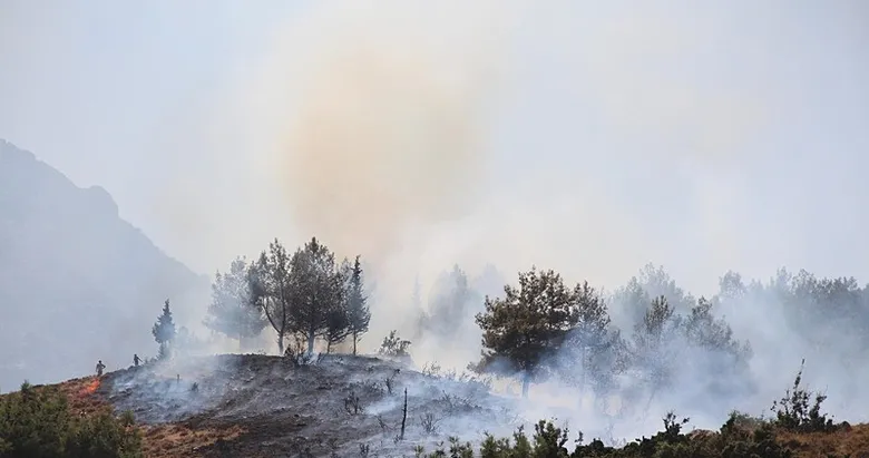 Manisa’da ormana sıçrayan yangın kontrol altına alındı
