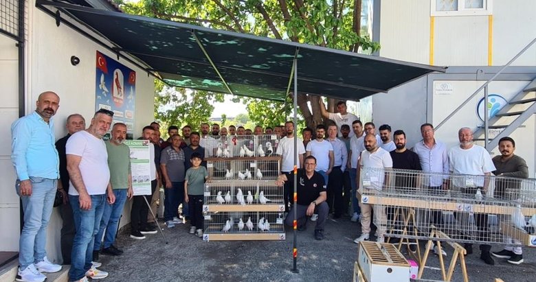 Azman güvercinler Denizli’de güzellikleriyle yarıştı