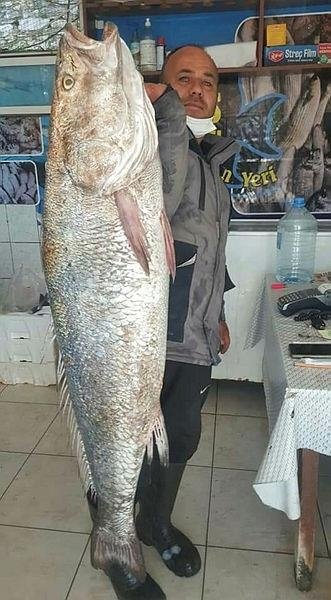 Neredeyse insan boyunda! Gören şaşkınlık yaşıyor