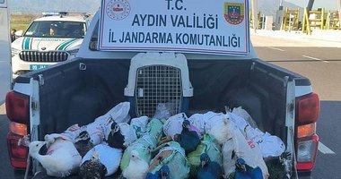 Aydın’da akılalmaz olay! Otobüsün bagajına koymuşlar