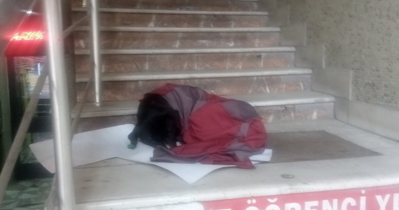 Afyon’da yürek ısıtan görüntü! Titreyen köpeği battaniye ile ısıttı