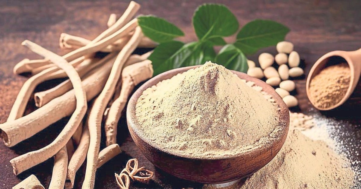 Kadim bir bitki: Ashwagandha
