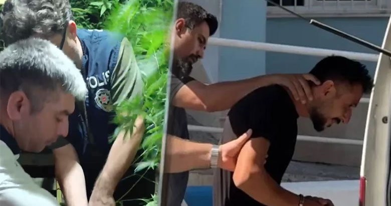 Aydın’da uyuşturucu baskını: Kanser olan babam için ektim