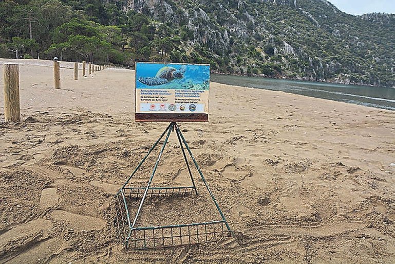 Caretta carettalar için sessizlik çağrısı