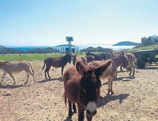 Çeşme tatilinden bunları yapmadan dönmeyin