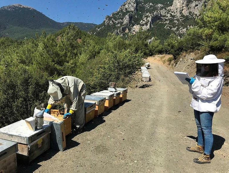 Arıcılıkta Türkiye ve dünyadaki ilkler İzmir’de uygulanıyor