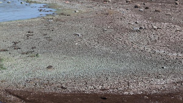 İzmir için kritik açıklama! ’Su kaynaklarının azalması tarımı sert şekilde etkiliyor’