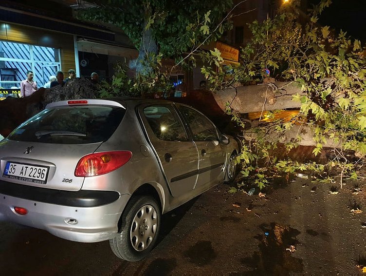 İzmir Konak’ta ağaç devrildi! 1 kişi yaralandı