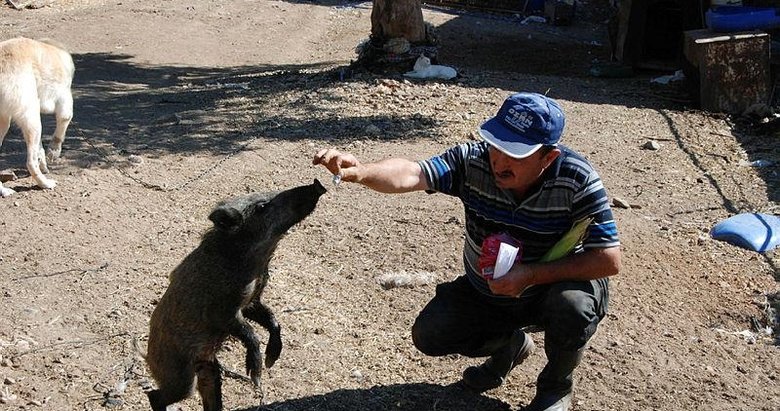 Köpek saldırısından kurtardı, şimdi peşinden ayrılmıyor