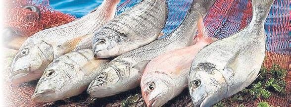 Beslenme düzenini değiştir kemik erimesinden korun