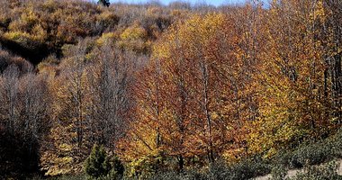 Kütahya’daki Boyalı Dağı güz renklerine büründü