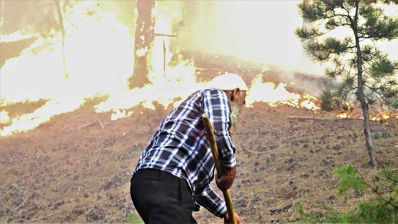 Binlerce Denizlili yangını söndürmek ve orman kahramanları için seferber oldu