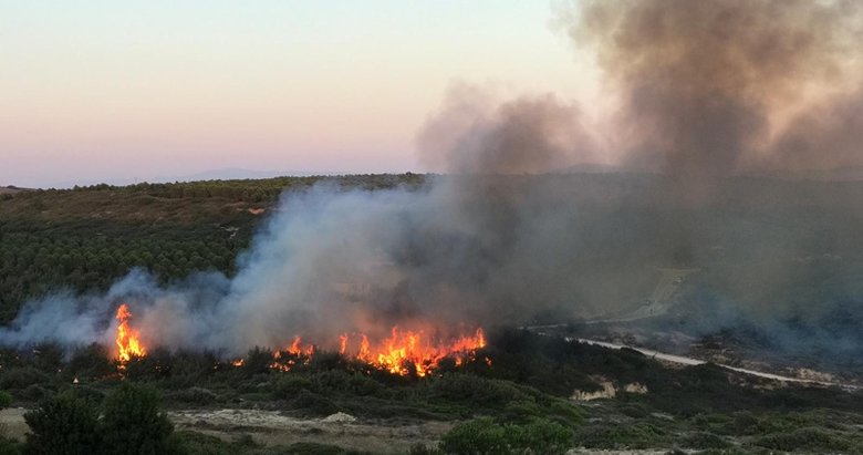 Bozcaada’daki makilik alanda çıkan yangında 4 hektar alan zarar gördü