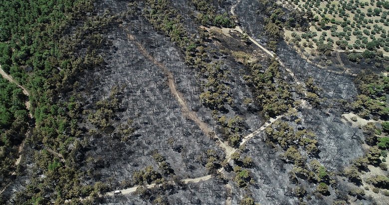Çanakkale’deki 52 orman yangınında 222 hektar alan kül oldu