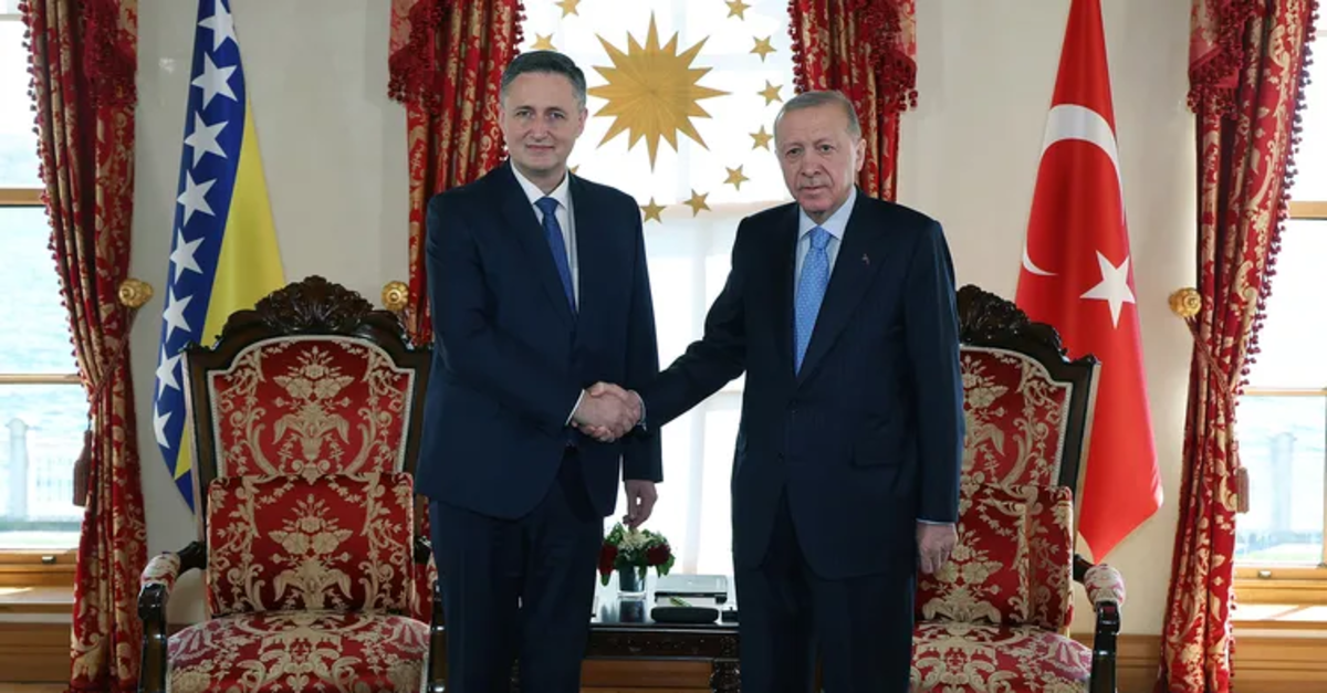 Başkan Erdoğan, Denis Beçiroviç'le görüştü