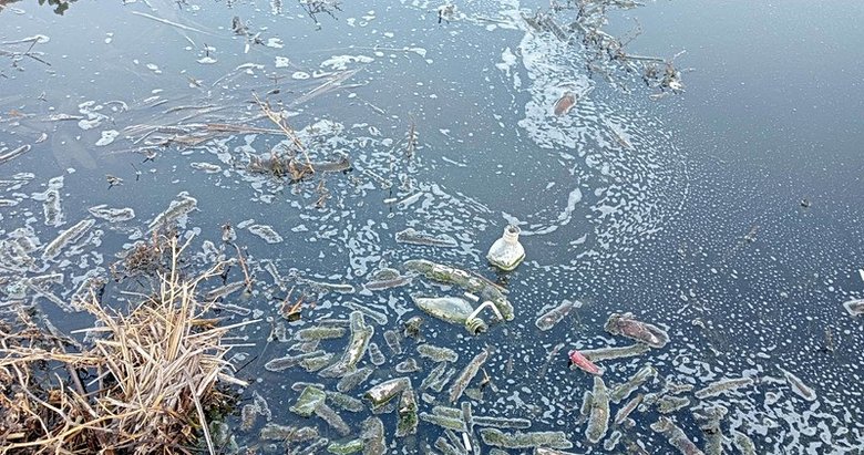 Afyonkarahisar’daki Eber Gölü’nde neler oluyor? Hiçbir canlı yok! Kuruyor...