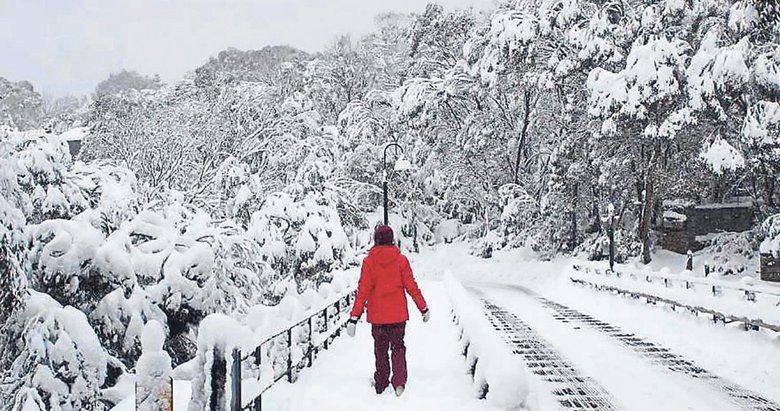 Kısa aşıklar için yeni bir kimlik: Çiniofil