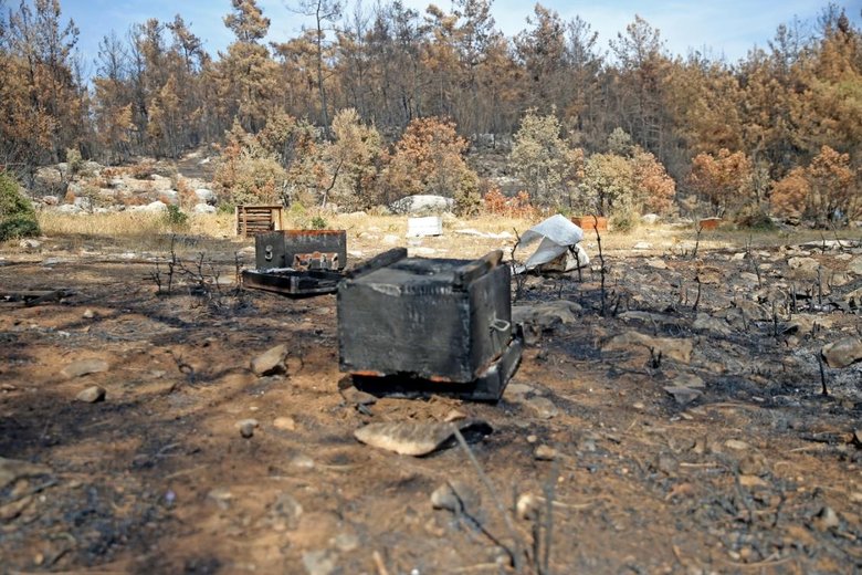 Tecrübeli arıcı yangında 300 kovanını yangın tüpleri sayesinde kurtardı!