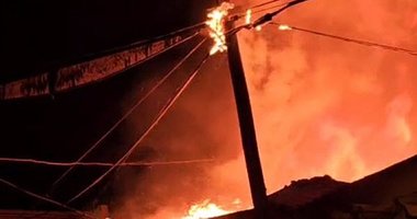 Koca çınarları alevler ayırdı