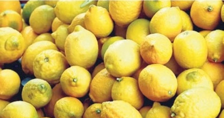 Türkiye en fazla mandalinayı Irak’a, limonu Rusya’ya sattı