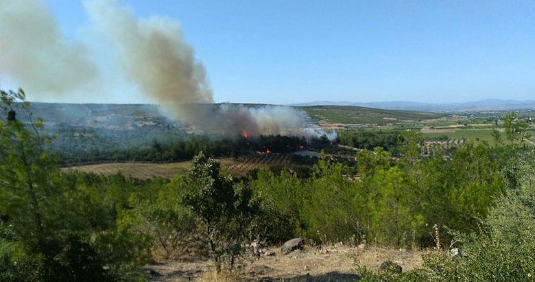 İzmir’de bir yangın daha! Bergama’da alevler kontrol altında