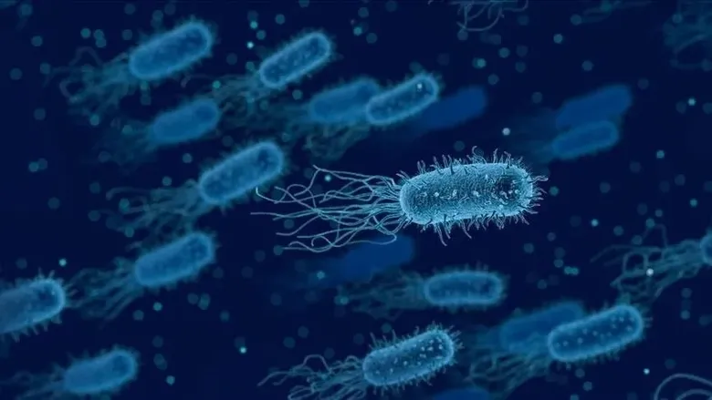 salmonella-belirtileri-neler-salmonella-zehirlenmesi-nasil-anlasilir-kac-gunde-belli-olur-1787653799307.jpeg
