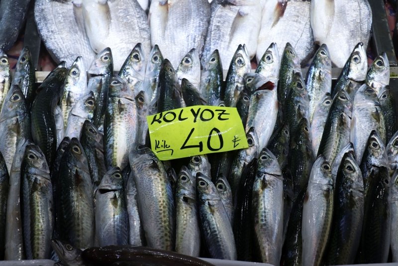 Çanakkaleli balıkçılar açılamadı, tezgahta çeşitlilik azaldı