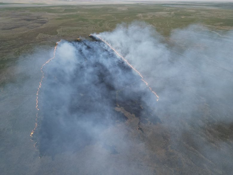 Eber Gölü’nde çıkan yangın 1 saatin sonunda söndürüldü
