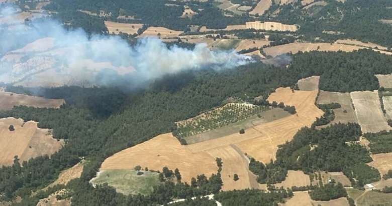 Balıkesir’de ve Denizli’de orman yangını