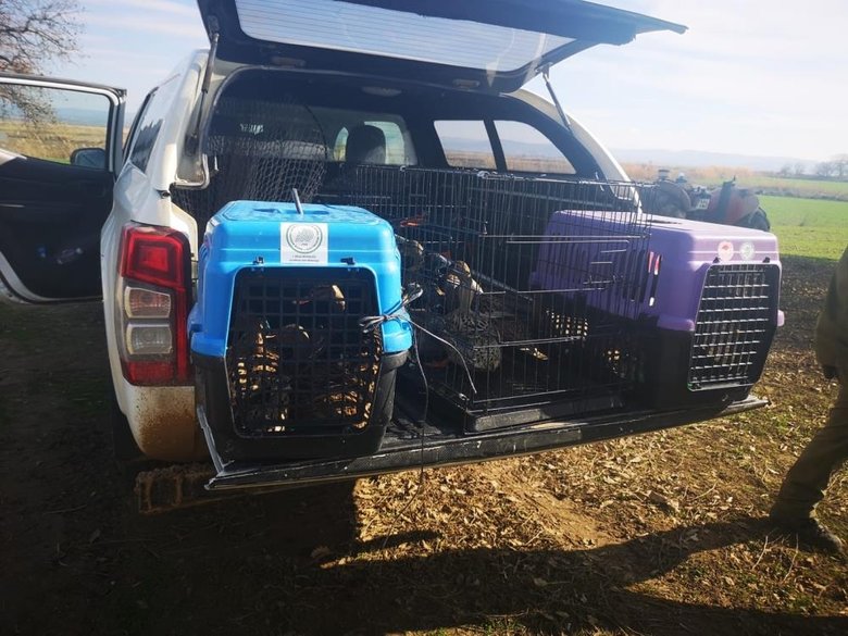 Çanakkale’de kaçak av operasyonuna 70 bin TL ceza