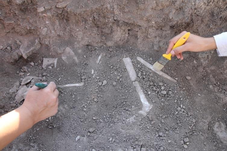 Domuztepe Höyüğü’nde 7 bin 600 yıllık insan iskeletleri bulundu