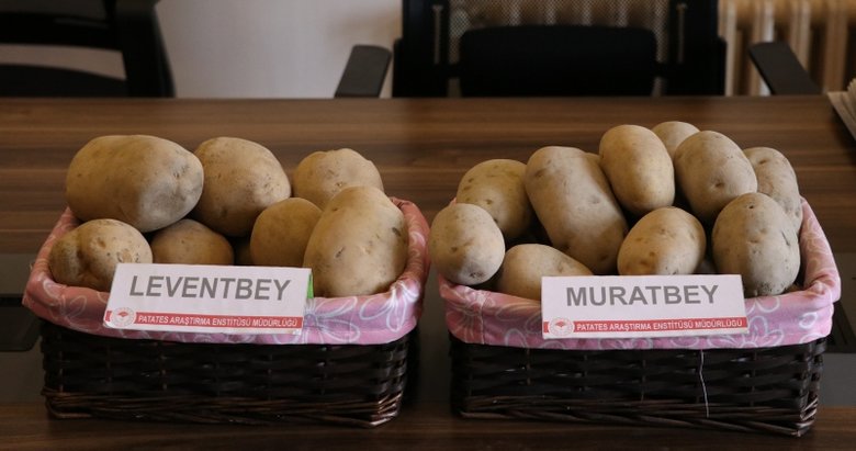 ‘Leventbey’ ve ‘Muratbey’in özel sektöre satışı yapıldı