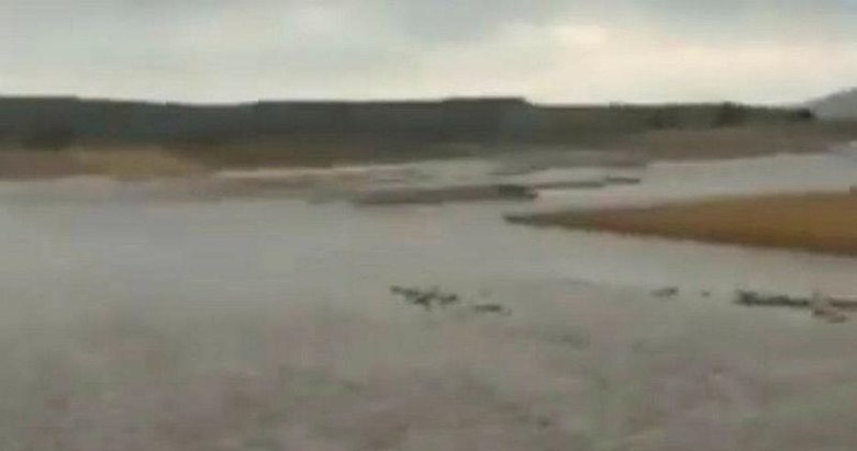 Altıntaş’ta aşırı yağış tarım arazilerinde zarara yol açtı