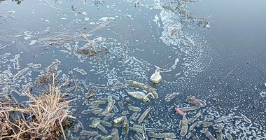 Afyonkarahisar’daki Eber Gölü’nde neler oluyor? Hiçbir canlı yok! Kuruyor...