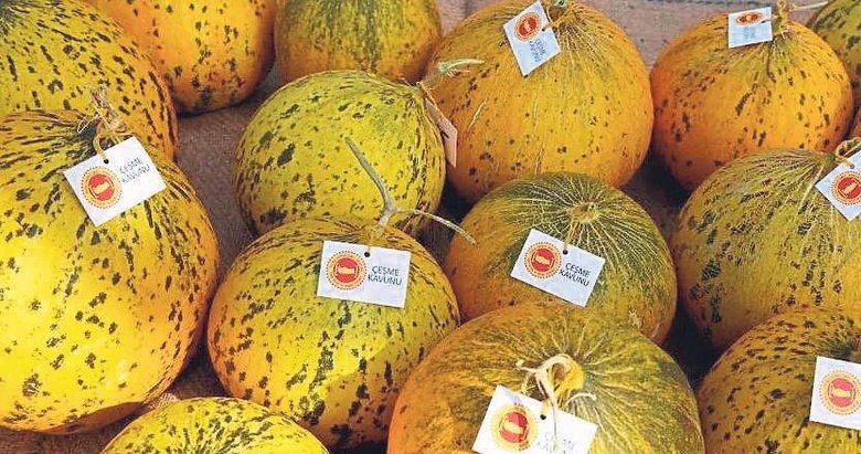 Çeşme kavunu imarlaşmaya yenildi