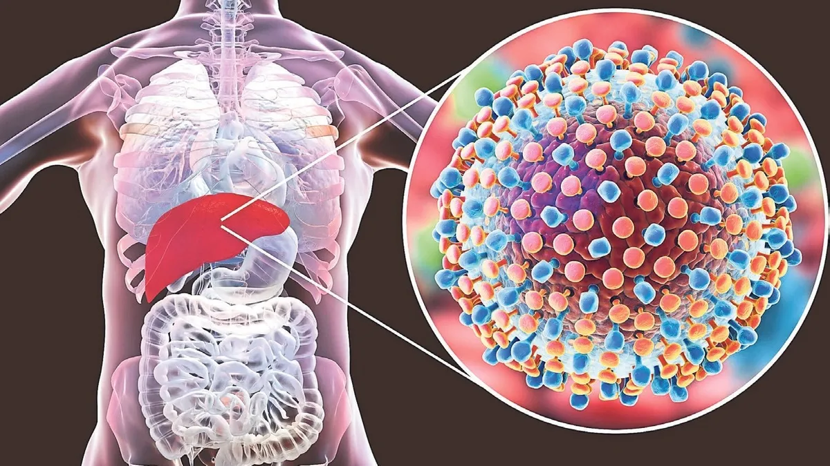 Hepatit C için hayati uyarı