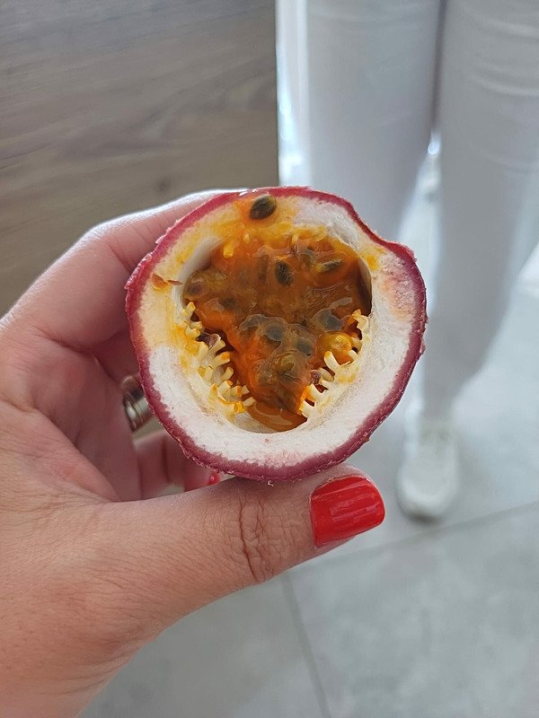 Tropikal dönüşüm