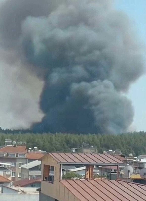 İzmir’de yeni orman yangını