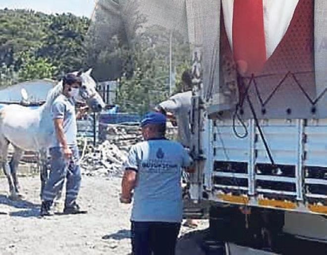 Başkan Kaya bu kez atların ’ip’ini kopardı