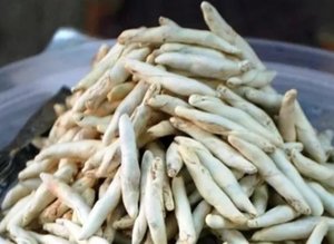 Faydası dillere destan... Sigarayı bile unutturuyor! Kenger sakızının faydaları inanılmaz!