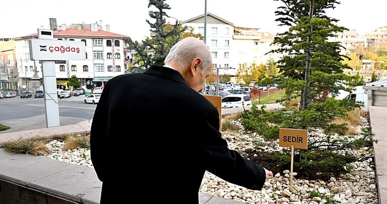 ‘Fidanlar yasama yürütme ve yargıyı temsil ediyor’