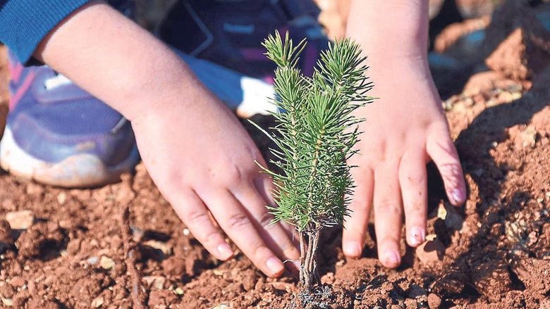 Tarım ve Orman Bakanı İbrahim Yumaklı açıkladı: Sektörlere sıkı denetim