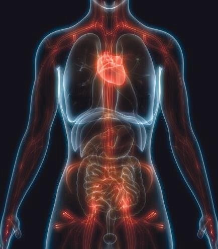 Geleceği etkileyecek yeni başlangıçlar yapıyorsunuz