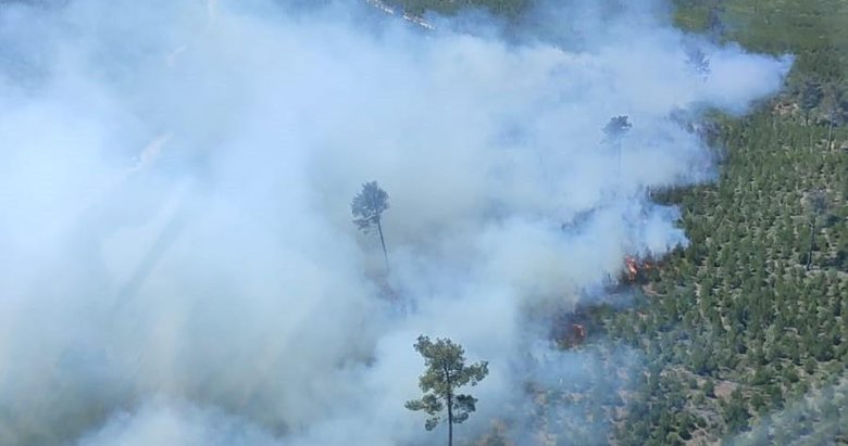 Son dakika: Manisa’da orman yangını! Havadan ve karadan müdahale